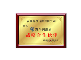 戰略合作伙伴
