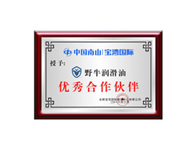 優秀合作伙伴